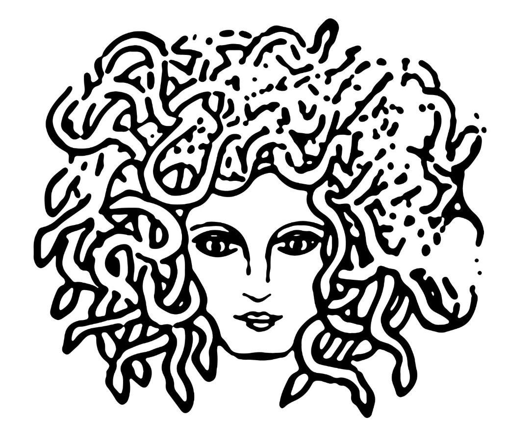 Medusa Duomo Guest House ナポリ エクステリア 写真